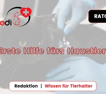 Erste Hilfe fuers Haustier 360x320