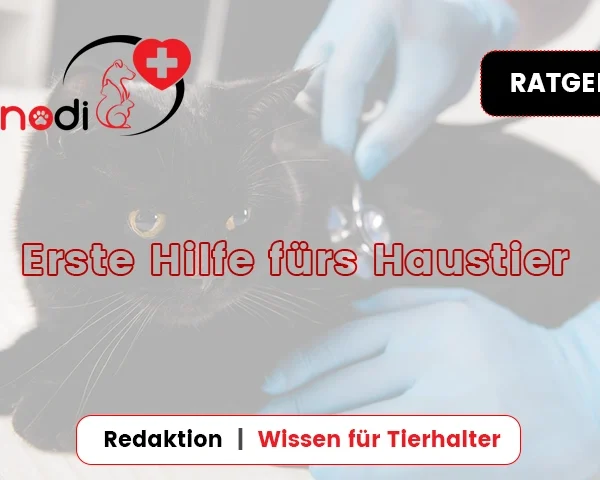 Erste Hilfe fürs Haustier