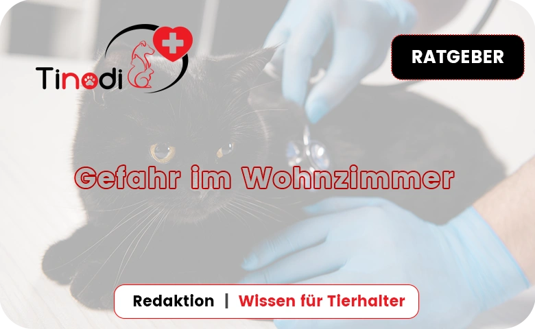 Gefahr im Wohnzimmer