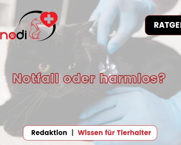 c1 Notfall oder harmlos?