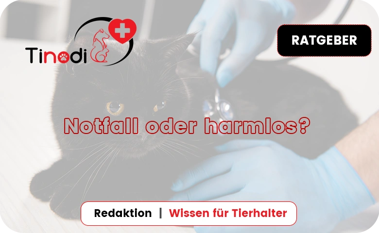 Notfall oder harmlos?