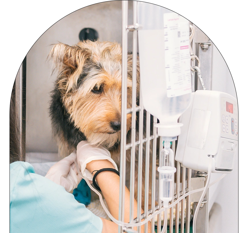 tinodi24 b1 Tinodi24