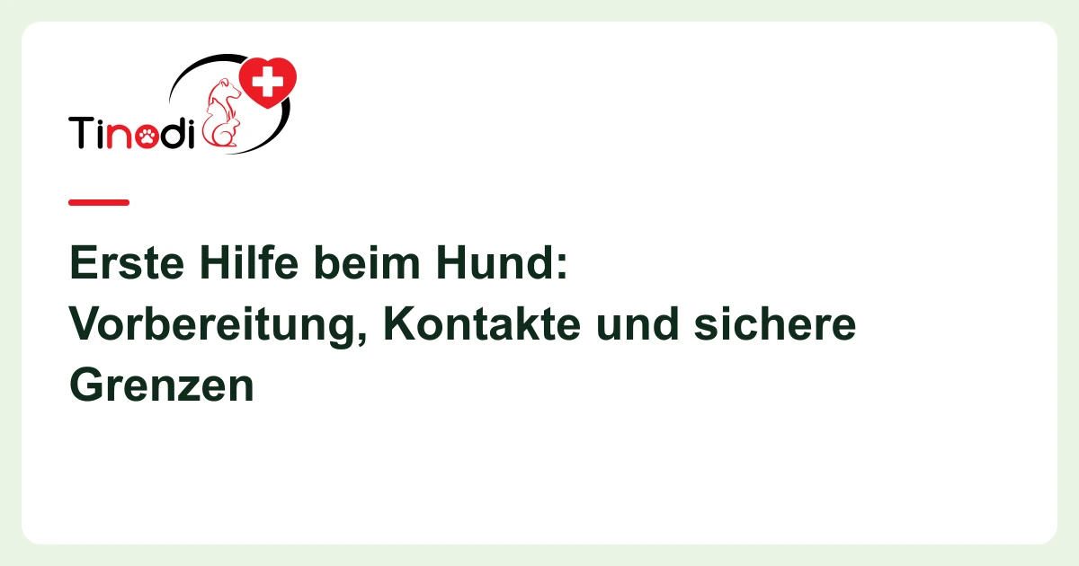 Titelgrafik: Erste Hilfe beim Hund — Erste Hilfe beim Hund: Vorbereitung, Kontakte und sichere Grenzen
