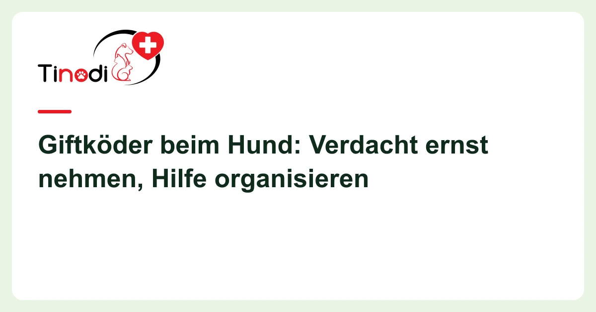Titelgrafik: Giftköder — Giftköder beim Hund: Verdacht ernst nehmen, Hilfe organisieren