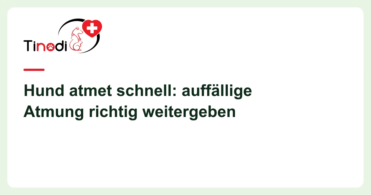 Titelgrafik: Hund atmet schnell — Hund atmet schnell: auffällige Atmung richtig weitergeben