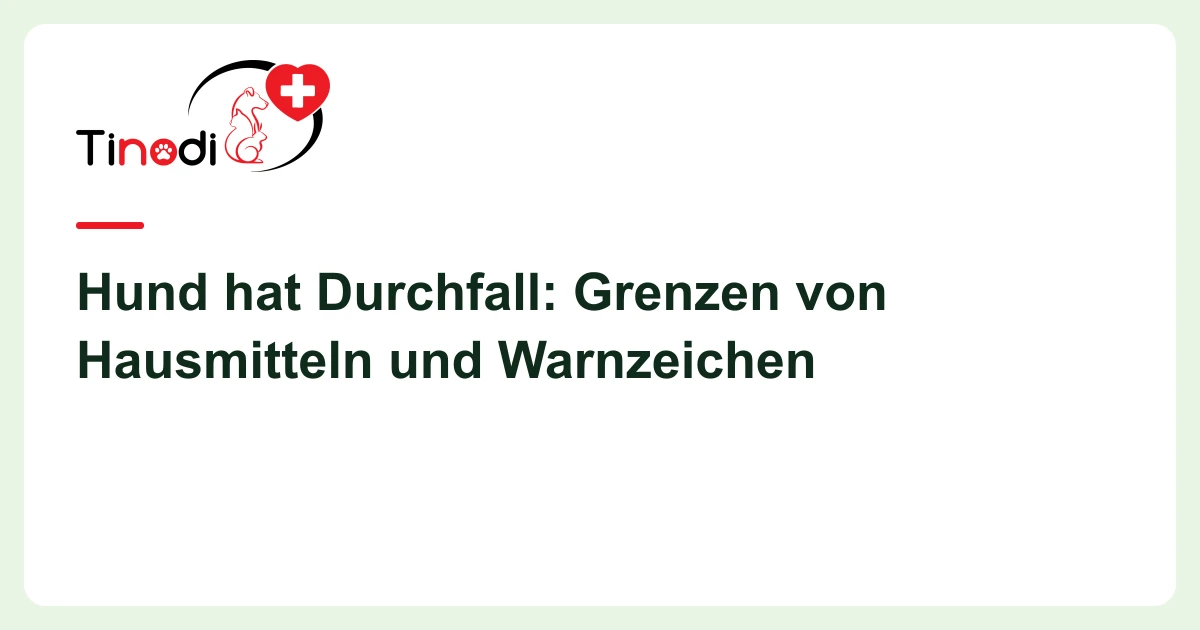 Titelgrafik: Hund hat Durchfall — Hund hat Durchfall: Grenzen von Hausmitteln und Warnzeichen