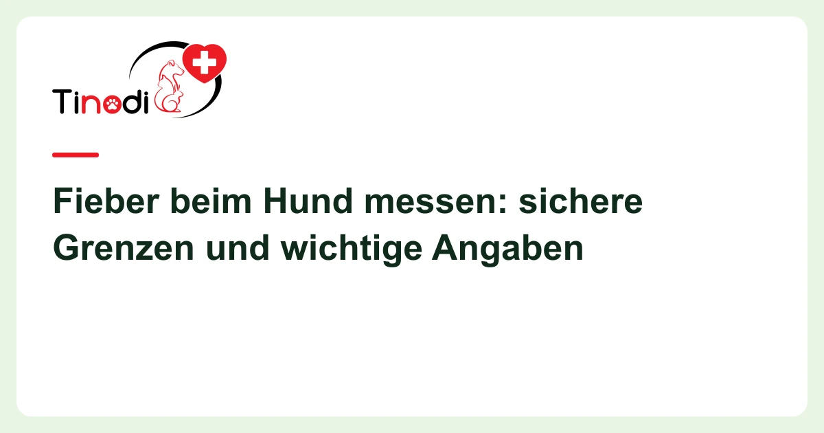 Titelgrafik: Fieber beim Hund — Fieber beim Hund messen: sichere Grenzen und wichtige Angaben