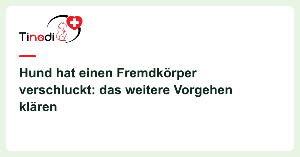 Titelgrafik: Fremdkörper verschluckt — Hund hat einen Fremdkörper verschluckt: das weitere Vorgehen klären