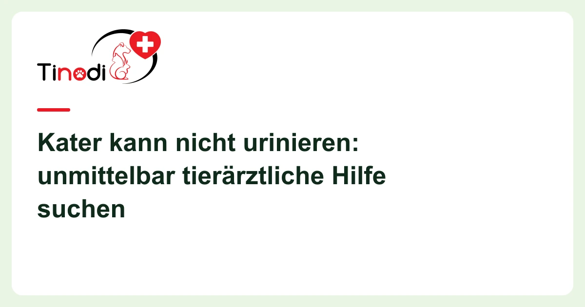 Titelgrafik: Kater kann nicht urinieren — Kater kann nicht urinieren: unmittelbar tierärztliche Hilfe suchen