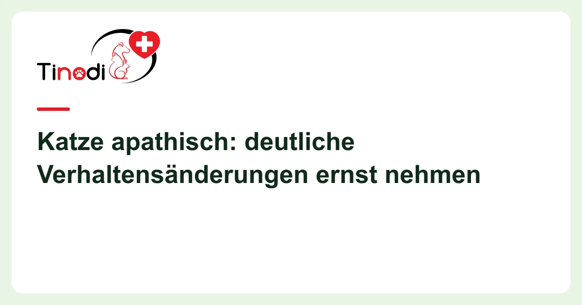 Titelgrafik: Katze apathisch — Katze apathisch: deutliche Verhaltensänderungen ernst nehmen