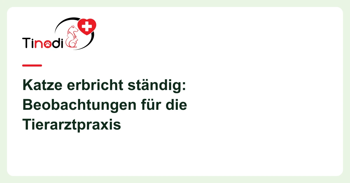 Titelgrafik: Katze erbricht ständig — Katze erbricht ständig: Beobachtungen für die Tierarztpraxis