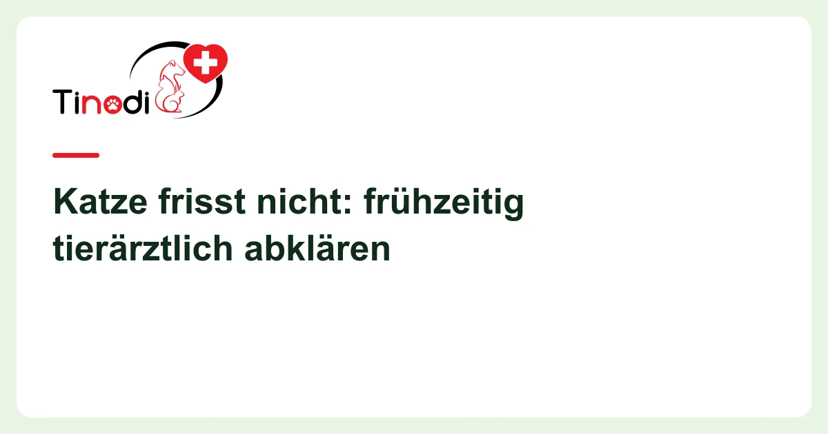 Titelgrafik: Katze frisst nicht — Katze frisst nicht: frühzeitig tierärztlich abklären