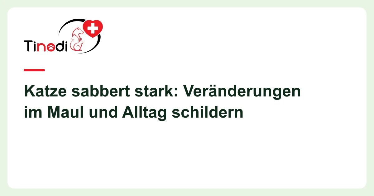 Titelgrafik: Katze sabbert — Katze sabbert stark: Veränderungen im Maul und Alltag schildern
