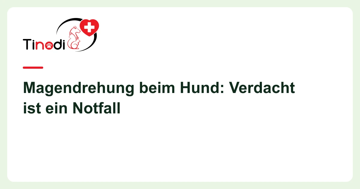 Titelgrafik: Magendrehung — Magendrehung beim Hund: Verdacht ist ein Notfall