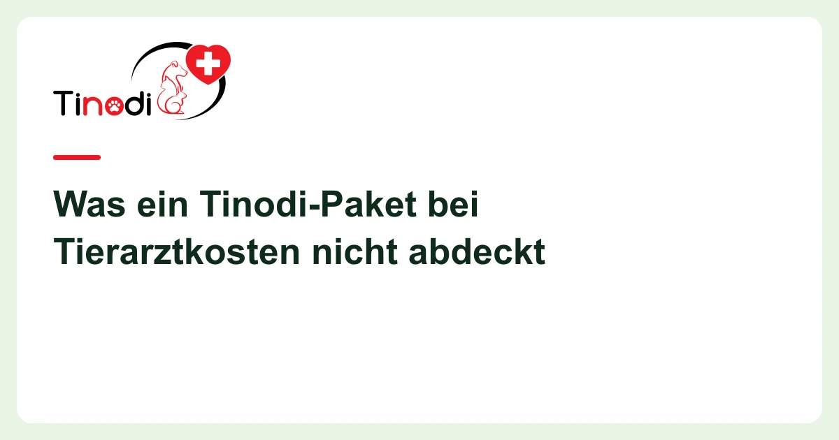 Titelgrafik: Tinodi-Pakete — Was ein Tinodi-Paket bei Tierarztkosten nicht abdeckt