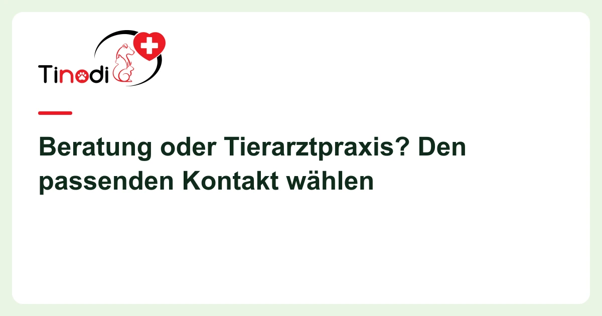 Titelgrafik: Tierberatung oder Tierarzt — Beratung oder Tierarztpraxis? Den passenden Kontakt wählen