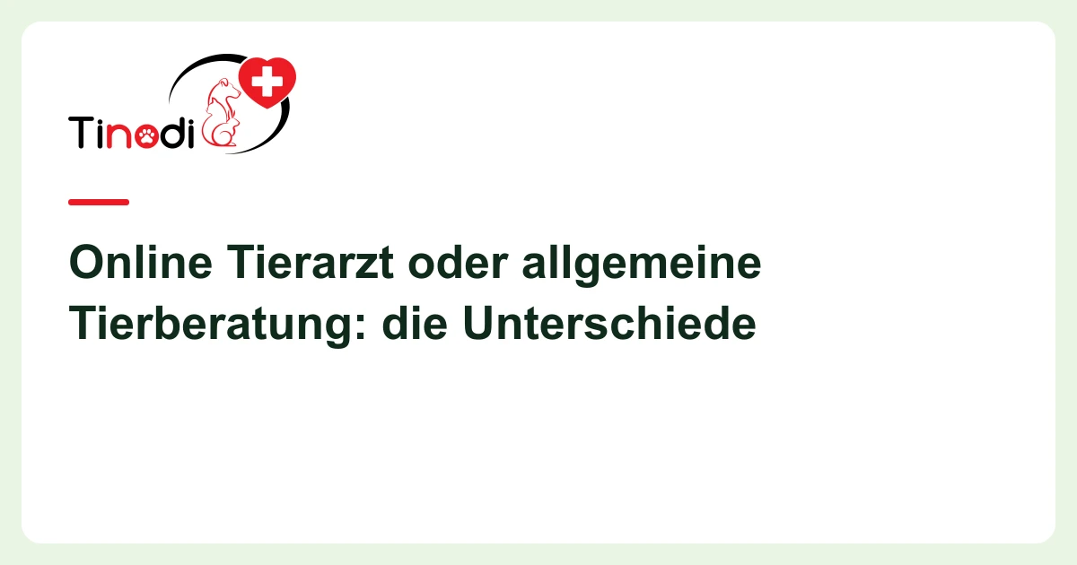 Titelgrafik: Online Tierarzt — Online Tierarzt oder allgemeine Tierberatung: die Unterschiede