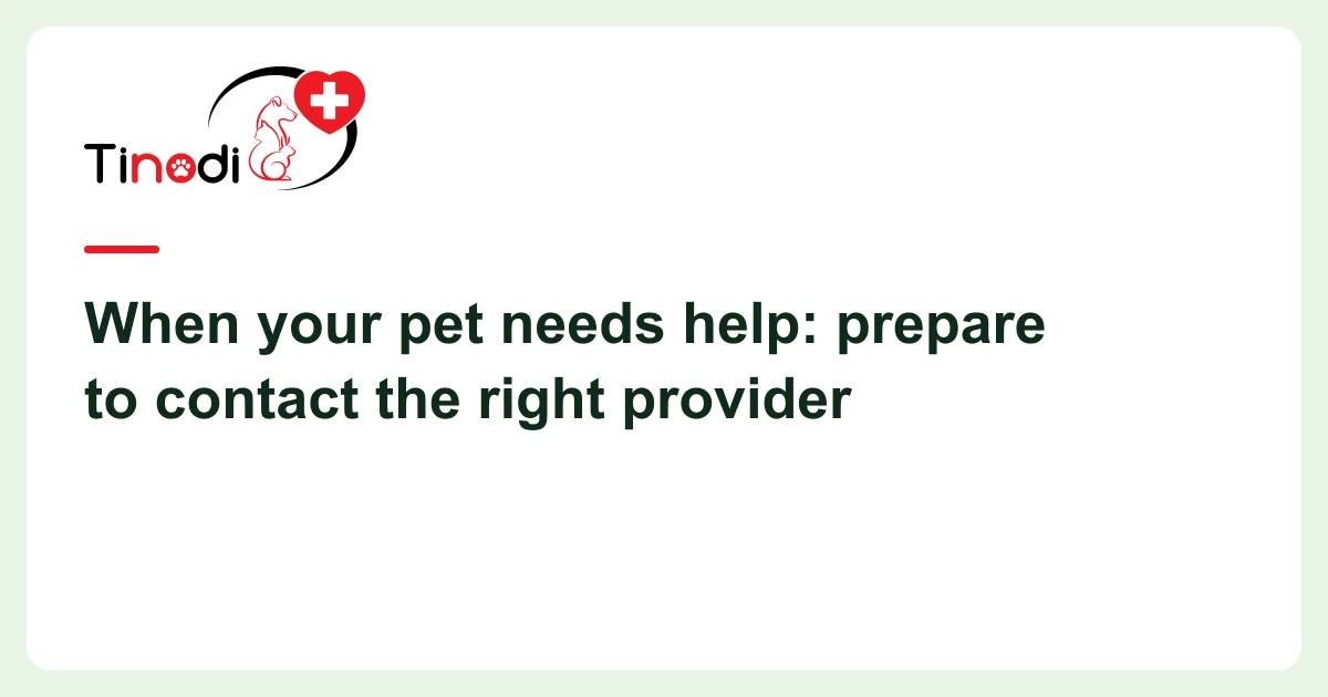 Article cover: veterinary contact — When your pet needs help: prepare to contact the right provider