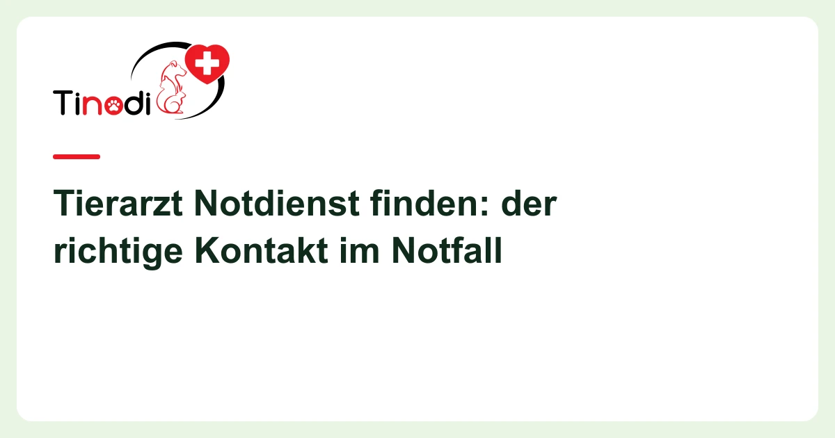 Titelgrafik: Tierarzt Notdienst — Tierarzt Notdienst finden: der richtige Kontakt im Notfall