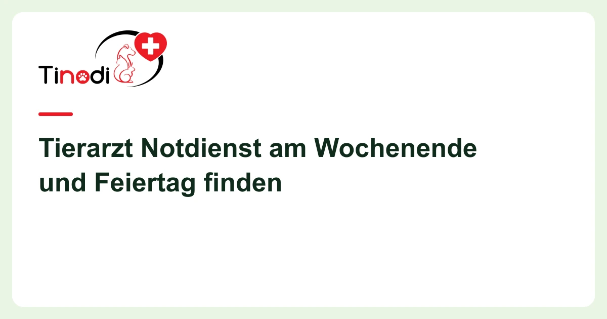 Titelgrafik: Tierarzt Notdienst am Wochenende — Tierarzt Notdienst am Wochenende und Feiertag finden