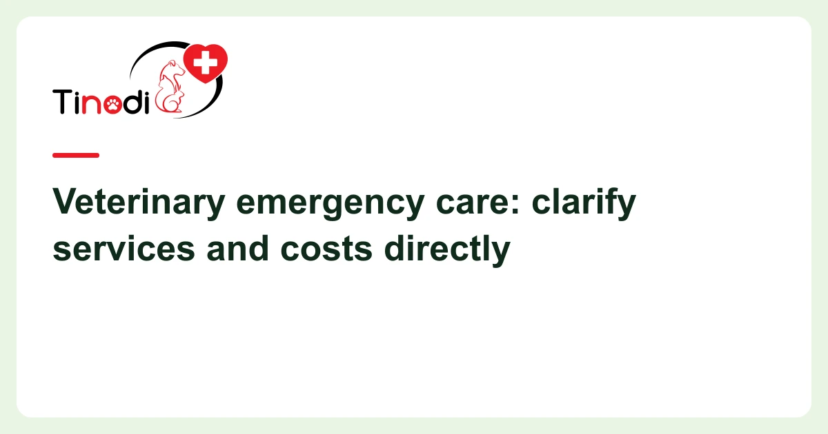 Article cover: veterinary bills — Veterinary emergency care: clarify services and costs directly