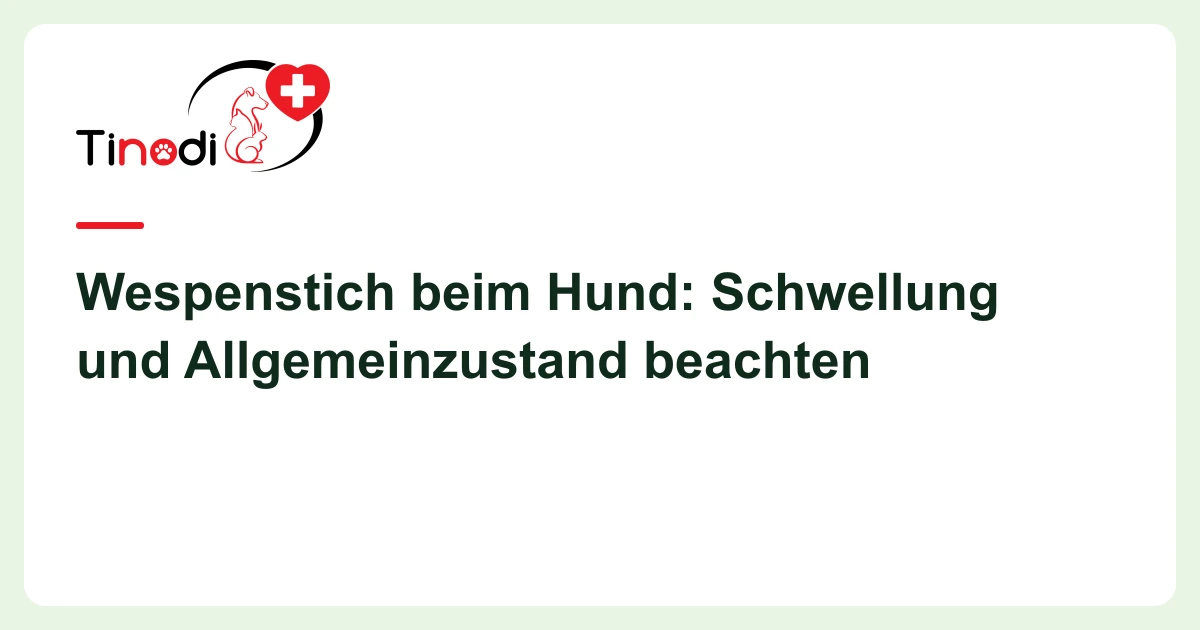 Titelgrafik: Wespenstich — Wespenstich beim Hund: Schwellung und Allgemeinzustand beachten